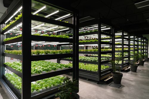 Grand Hyatt Kuala Lumpur: Leading The Charge in Sustainable Hospitality Excellence