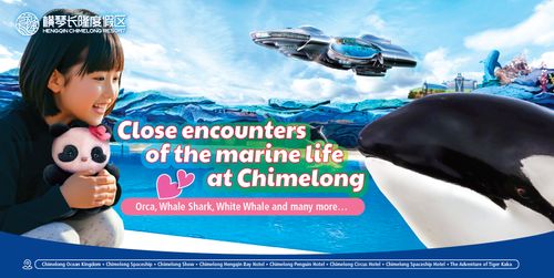 The 1st birthday of Orca baby'Wulong'