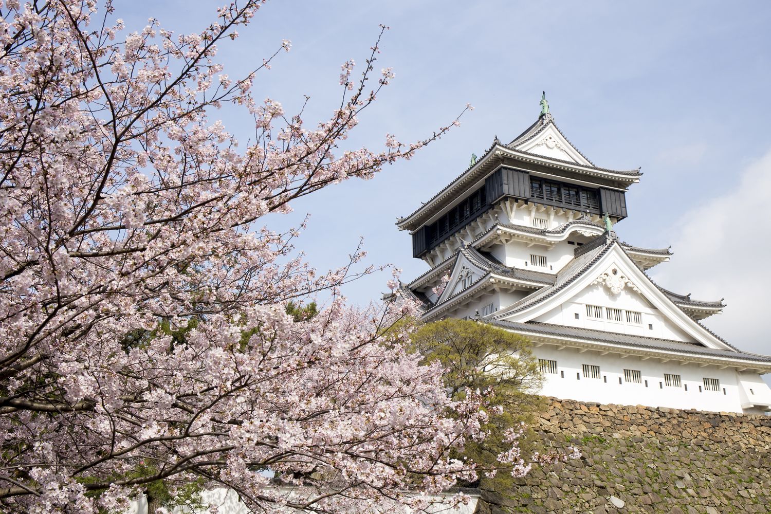 Japan National Tourism Organization