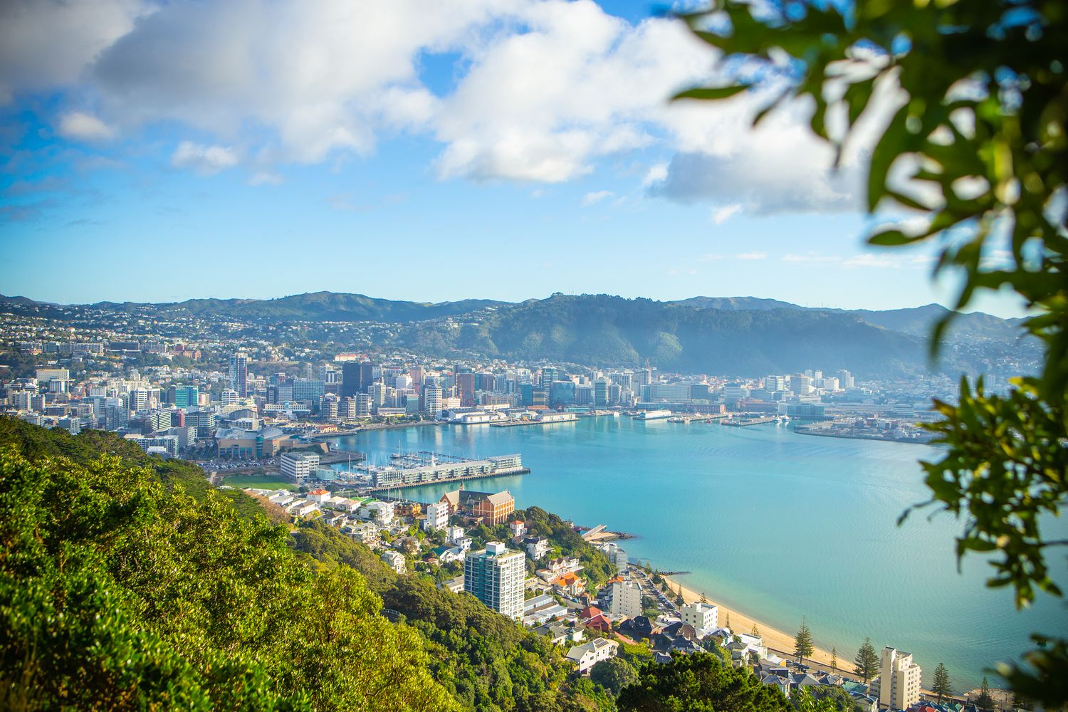 Business Events Wellington