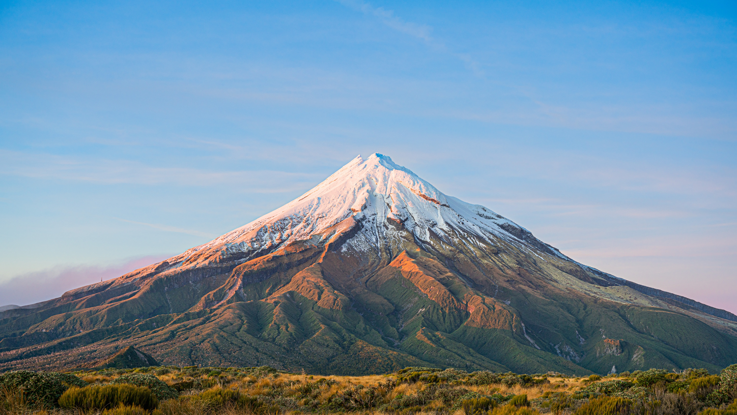 Attend NZ