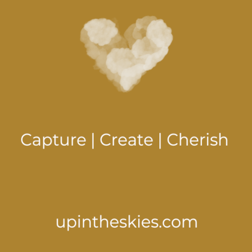 Up In The Skies Ltd