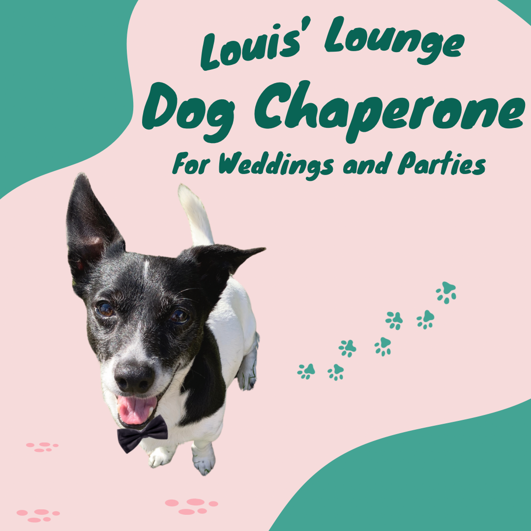 Louis' Lounge