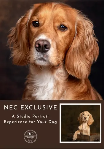 A free 30 minute Dog Portrait Session