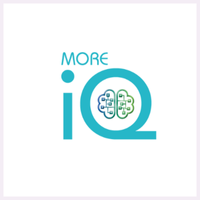 Company name - More IQ