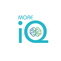 Company name - More IQ