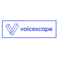 Company name - Voicescape ltd