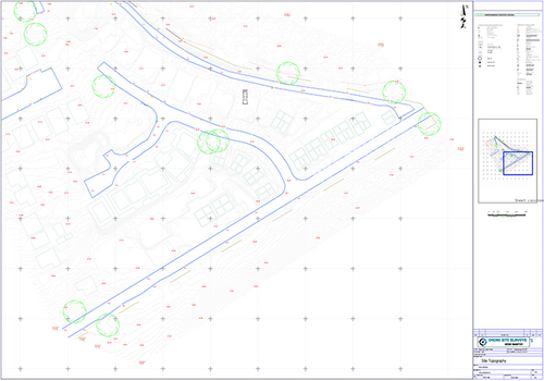 Topographical Drone Survey