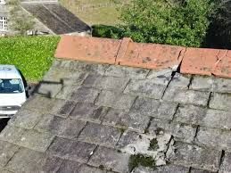 Housing Disrepair Survey