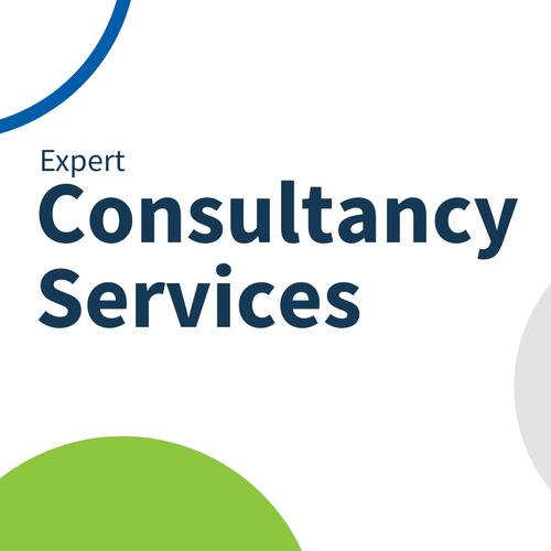 Consultancy Services
