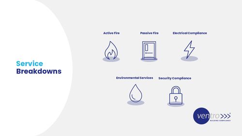 Our Services