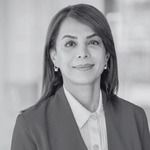Speaker profile image for Setareh Neshati