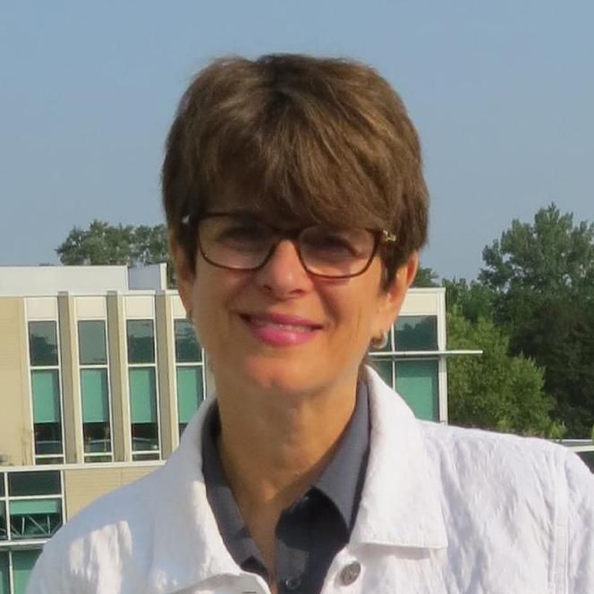 Lois Vitt Sale