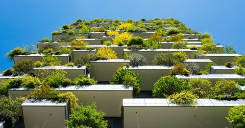 Government to Develop Net Zero Plan for Built Environment