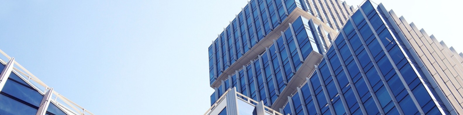 Cygnus Group