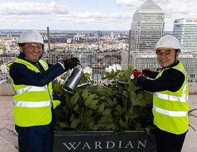 'Botanical development' in Canary Wharf tops out
