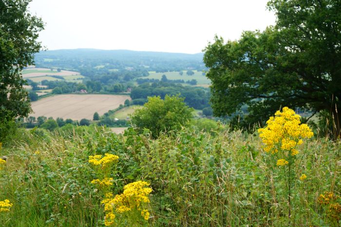 Beard Revealed as Preferred Bidder for Surrey County Council Developments