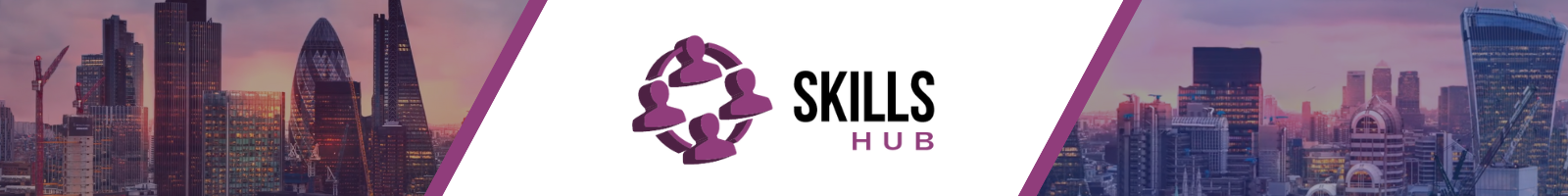 Skills Hub Banner