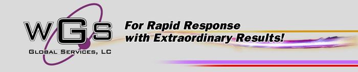World Global Services Ltd