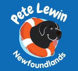 Pete Lewin Newfoundlands