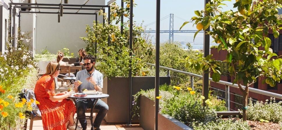 Take inspiration from these seven offices who have nailed the great outdoor work spaces
