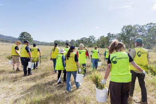 Greenfleet Business Carbon Offsets