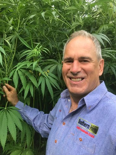 David Brian - Australian Hemp Council