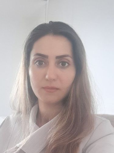 Monir Ameli Najafabadi - Pun Civil Construction Pty Ltd