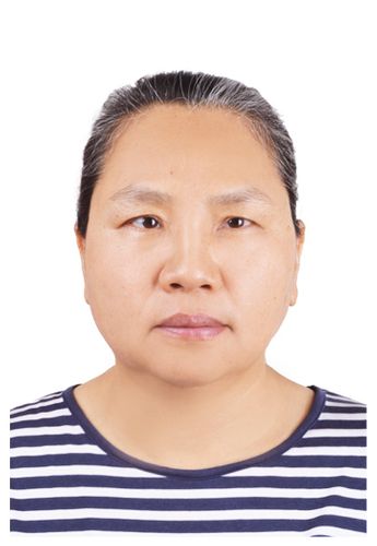 Ping Wang - Danmk Industry co.ltd.