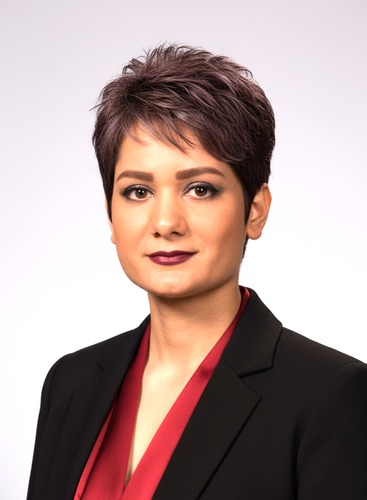 Sam Pedram - Australian Institute of Project Management