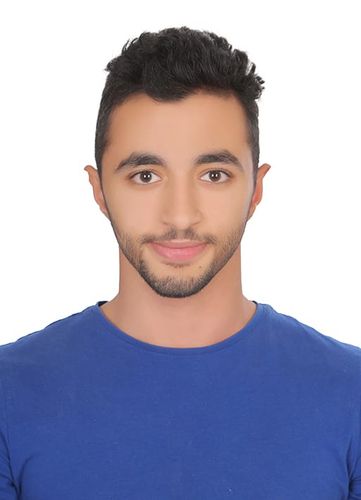 Seif Mahmoud - MVL Group