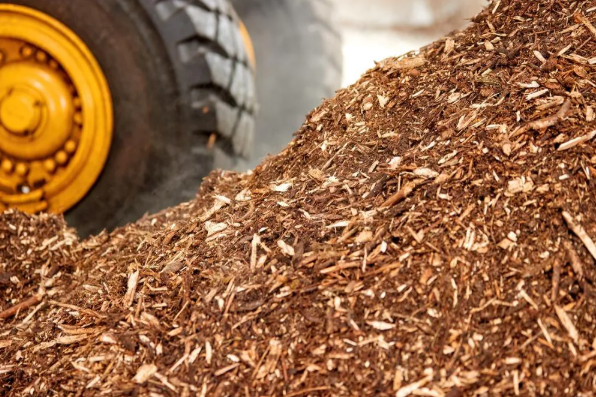 AI Sorts Contaminated Wood Waste Automatically