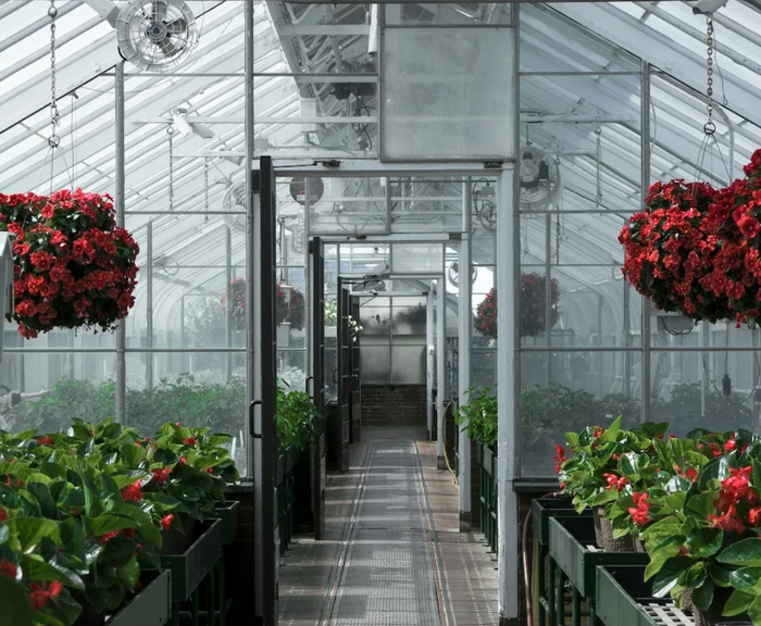 Australian Classrooms have Worse Air Quality Protections than Many Pet Shelters and Greenhouses