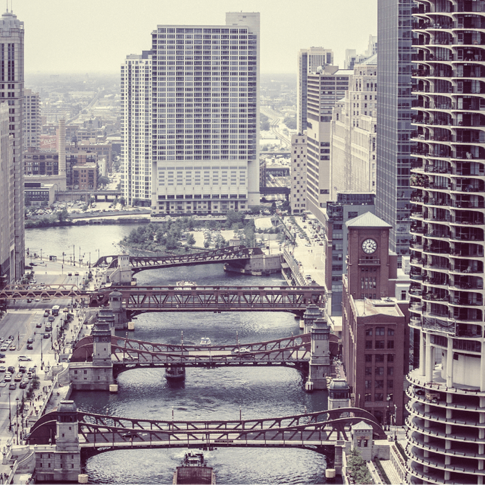 Chicago City Hall Green Roof- a 20 year retrospective