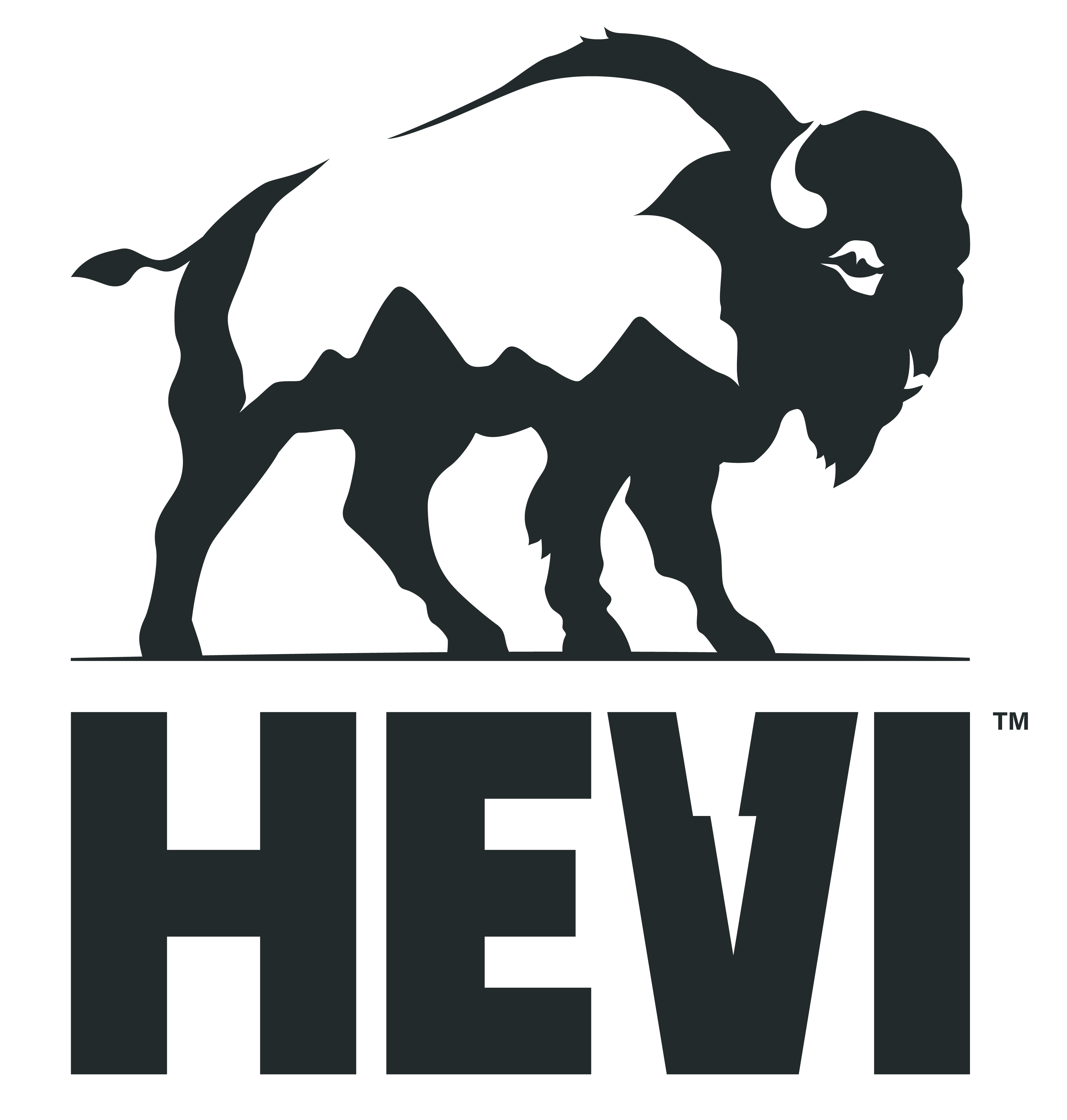 HEVI Corp