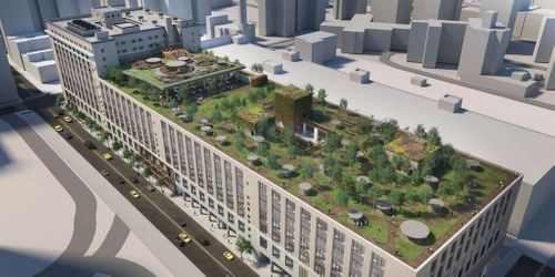 Green Roof Construction Progresses At 341 Ninth Avenue In West Chelsea, Manhattan