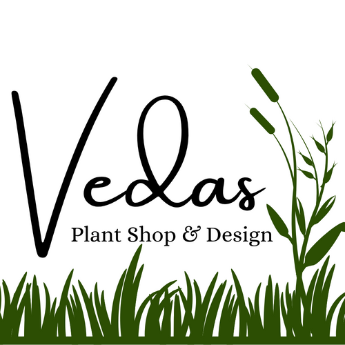 Vedas Plant Shop