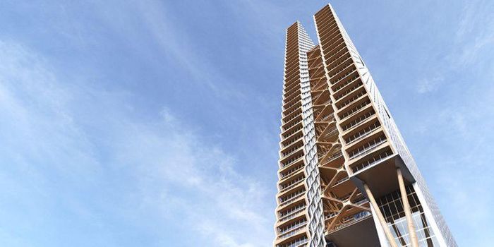 Is Mass Timber the Future of Construction?