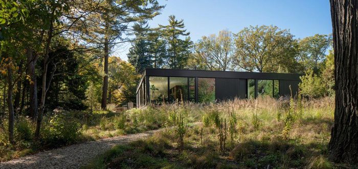 American studio Wheeler Kearns Architects has completed a single-storey residence on a wooden site outside of Chicago which features black facade and large windows that engage the landscape