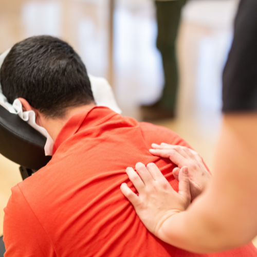Wellness Hub