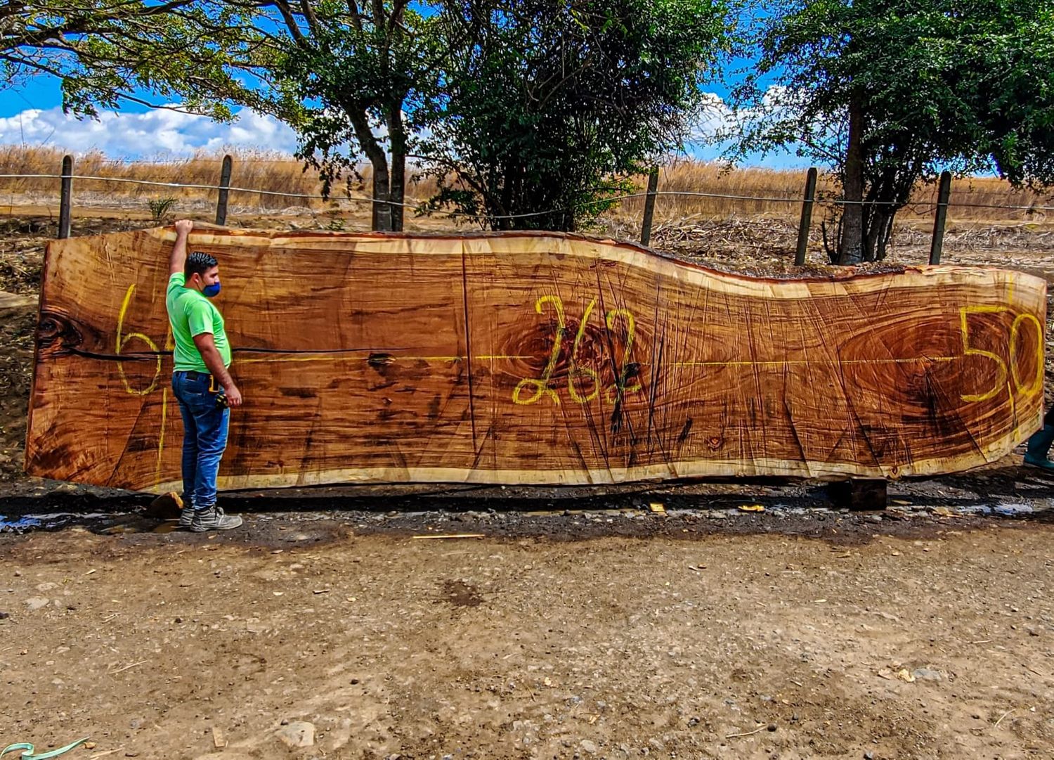 Live Edge Slabs Costa Rica 