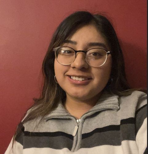 Denise Sanchez - Illinois Institute of Technology