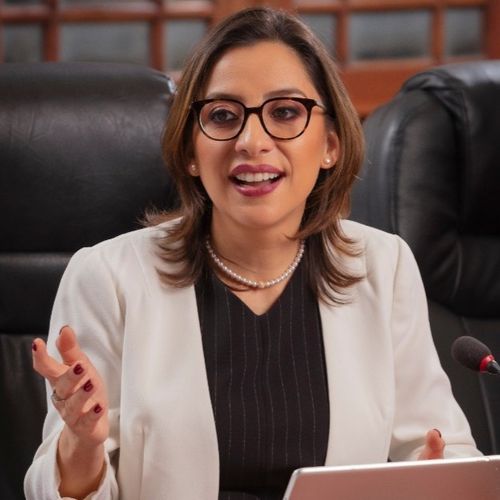 Perla J. Castro - Communica Global DBA Alpha PM Consulting