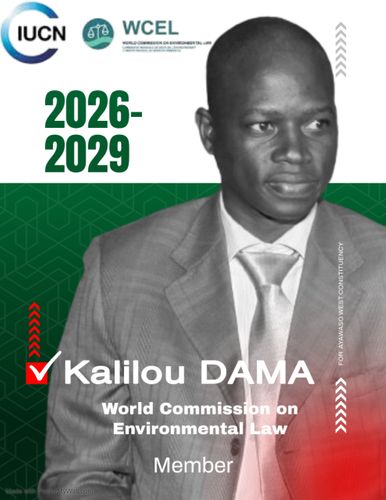 Speaker profile image for Kalilou DAMA