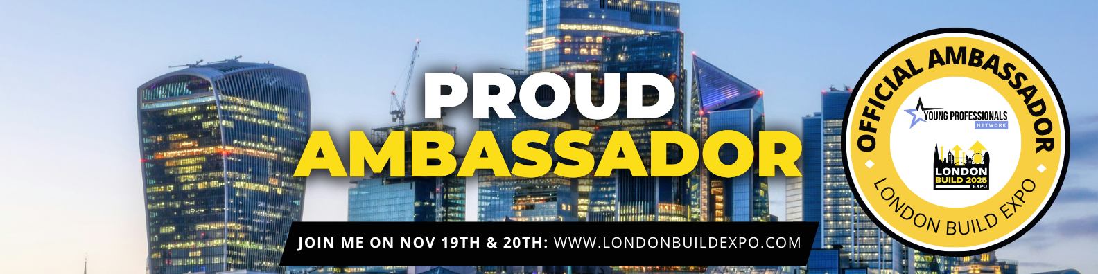 Young Professionals Network Profile Background