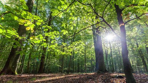 How UK Construction Is Getting Greener in 2025
