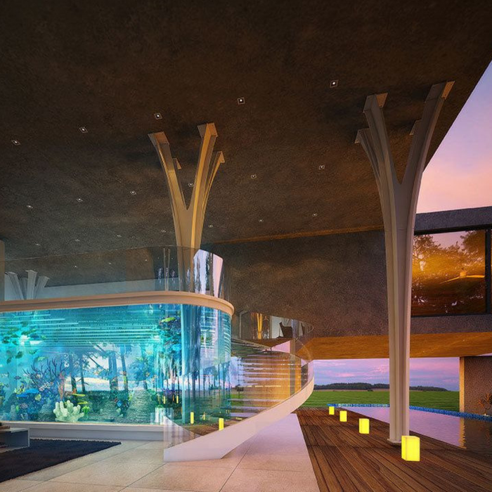 Home aquariums become nature-based art experiences