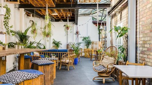 Drool over these leafy interiors at the greenest offices in London