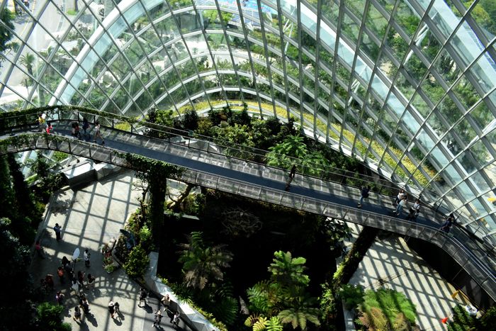 WorldGBC Launches Industry Guide To Target Climate Change Resilience