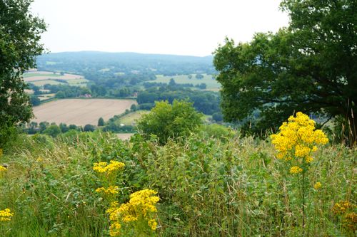 Beard Revealed as Preferred Bidder for Surrey County Council Developments